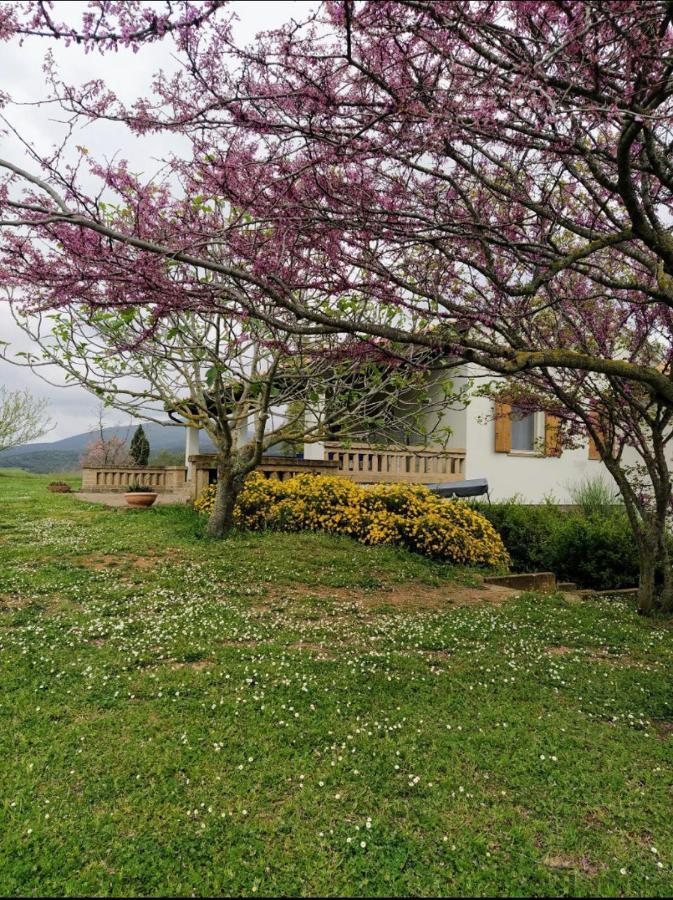 Bed and breakfast Casale Artemisia Capalbio Extérieur photo
